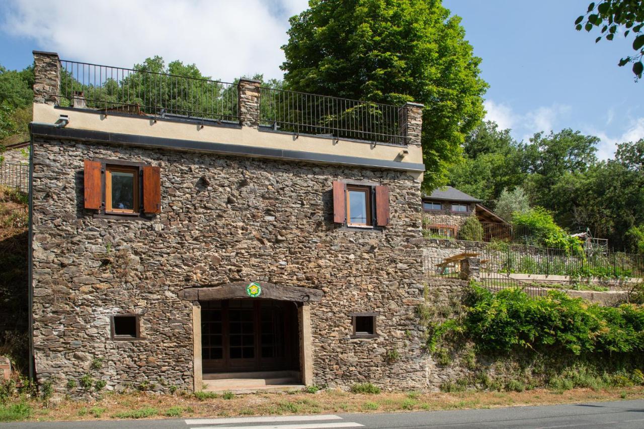 Appartement - Gite De La Moulinquie Saint-Cirgue Zewnętrze zdjęcie